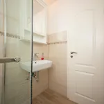 Daire Schleiblick App 2